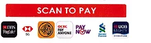 PayNow